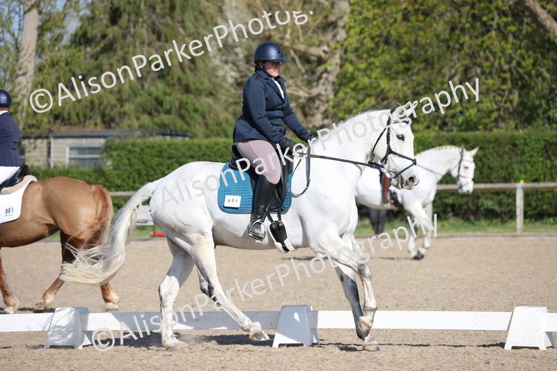 20250405-0195 - Class 11 - My Quest Novice 3