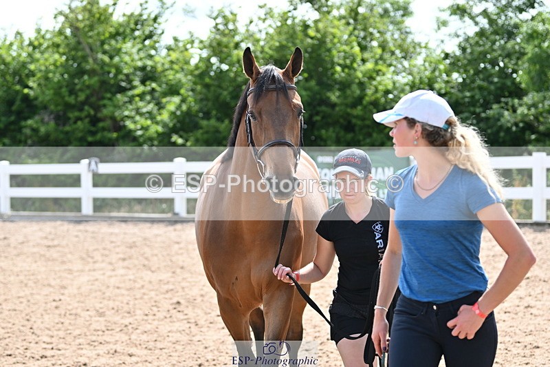 240717A-155236-03130 - Trot Up 3pm to 4pm