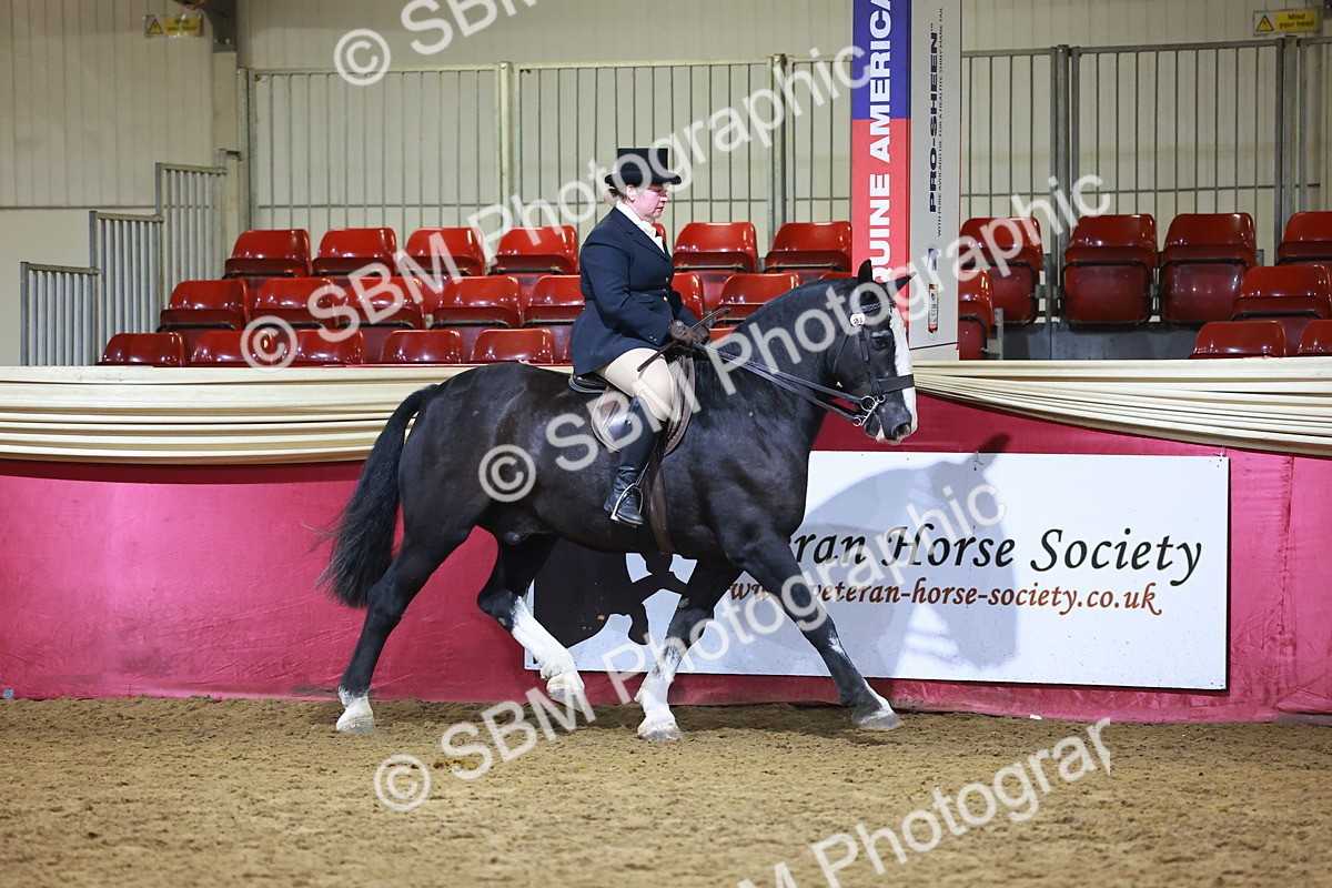 SBM_15660 - Class T - Working Veteran Champ
