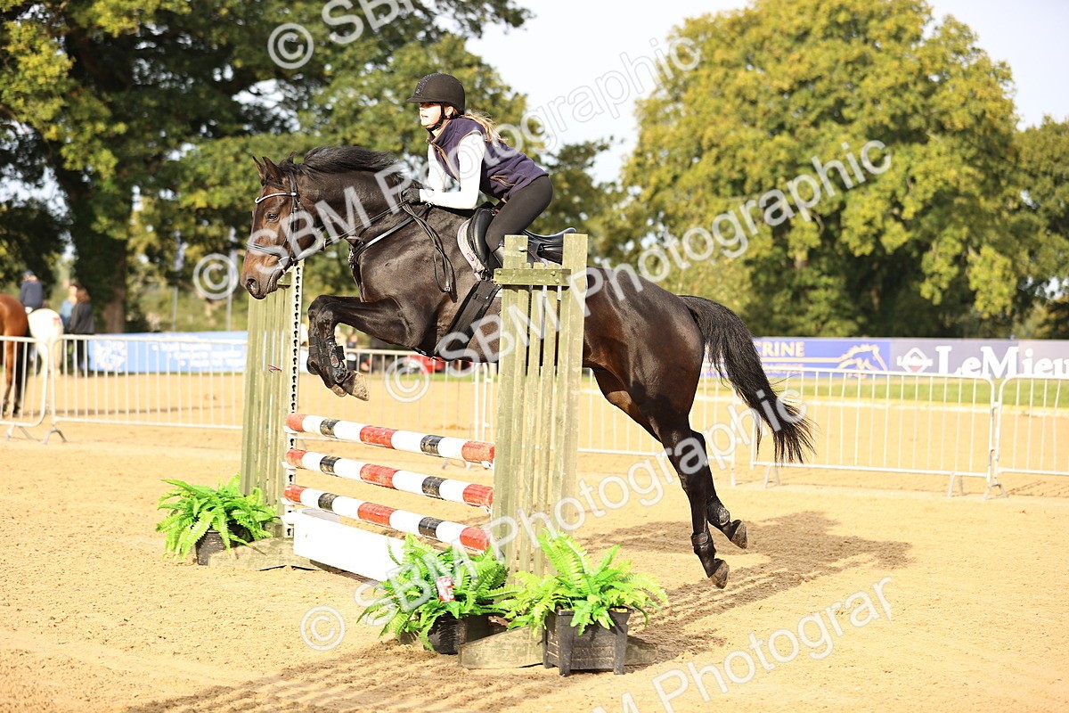 SBM_55203 - J62 - Clear Round 90cm