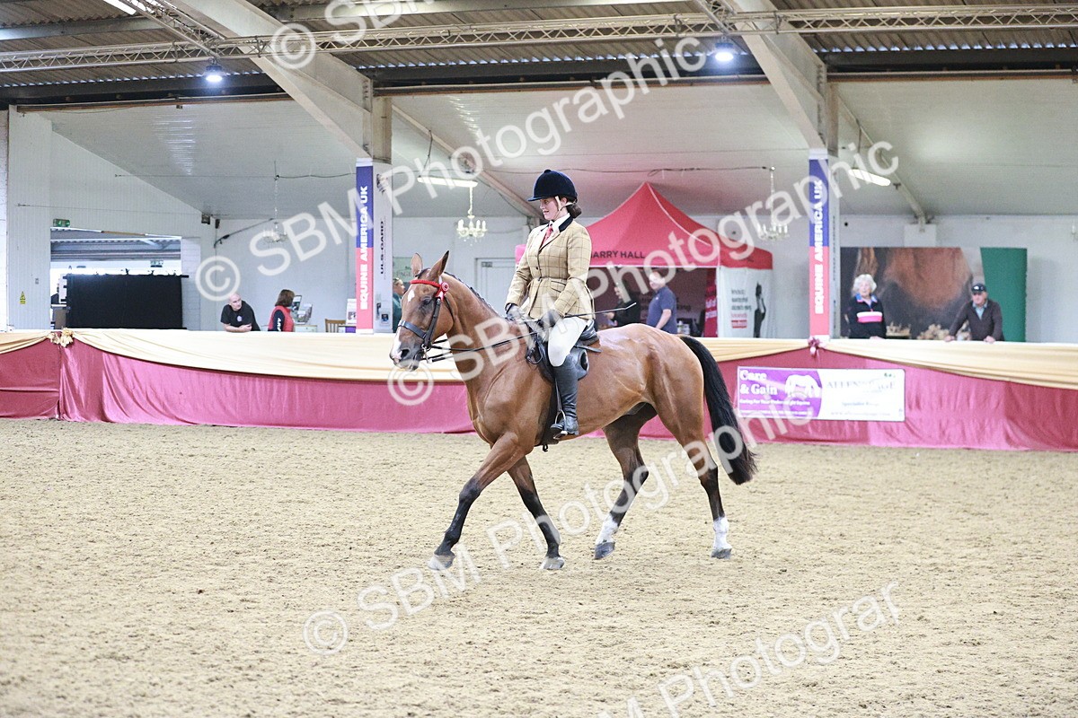 SBM_08189 - Class 11R - Regional Ridden Veteran