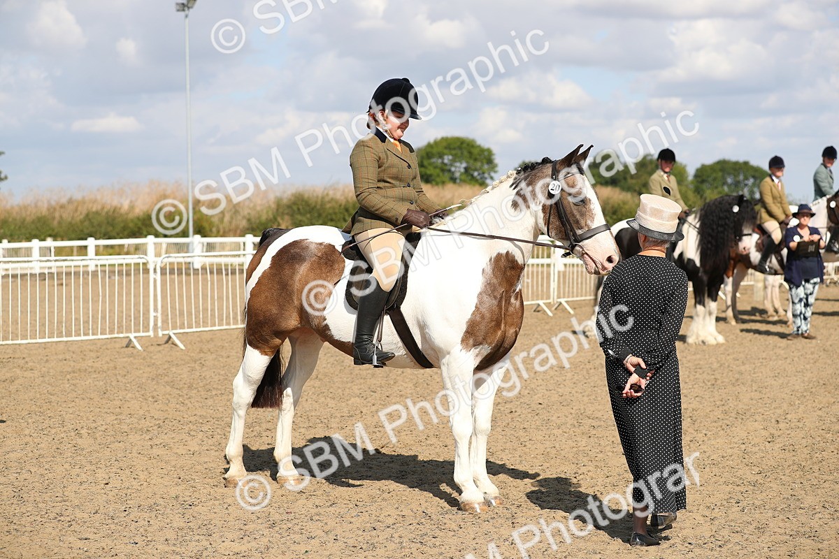 SBM_03209 - Class 44 Riding Club Horse/ Pony