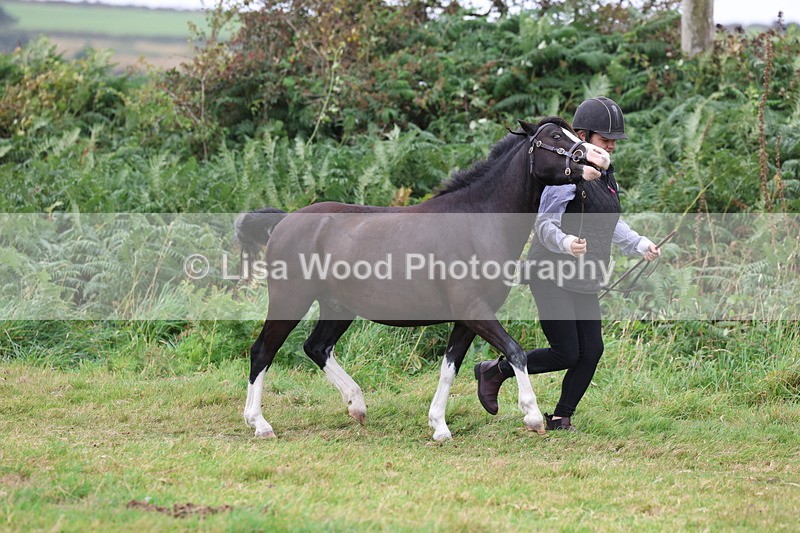 3E7A4326 - Class 15: Three Year Olds