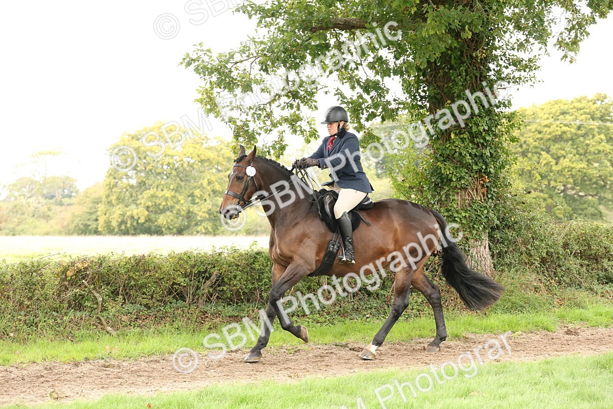 SBM_66342 - S66 - Hunter Ridden