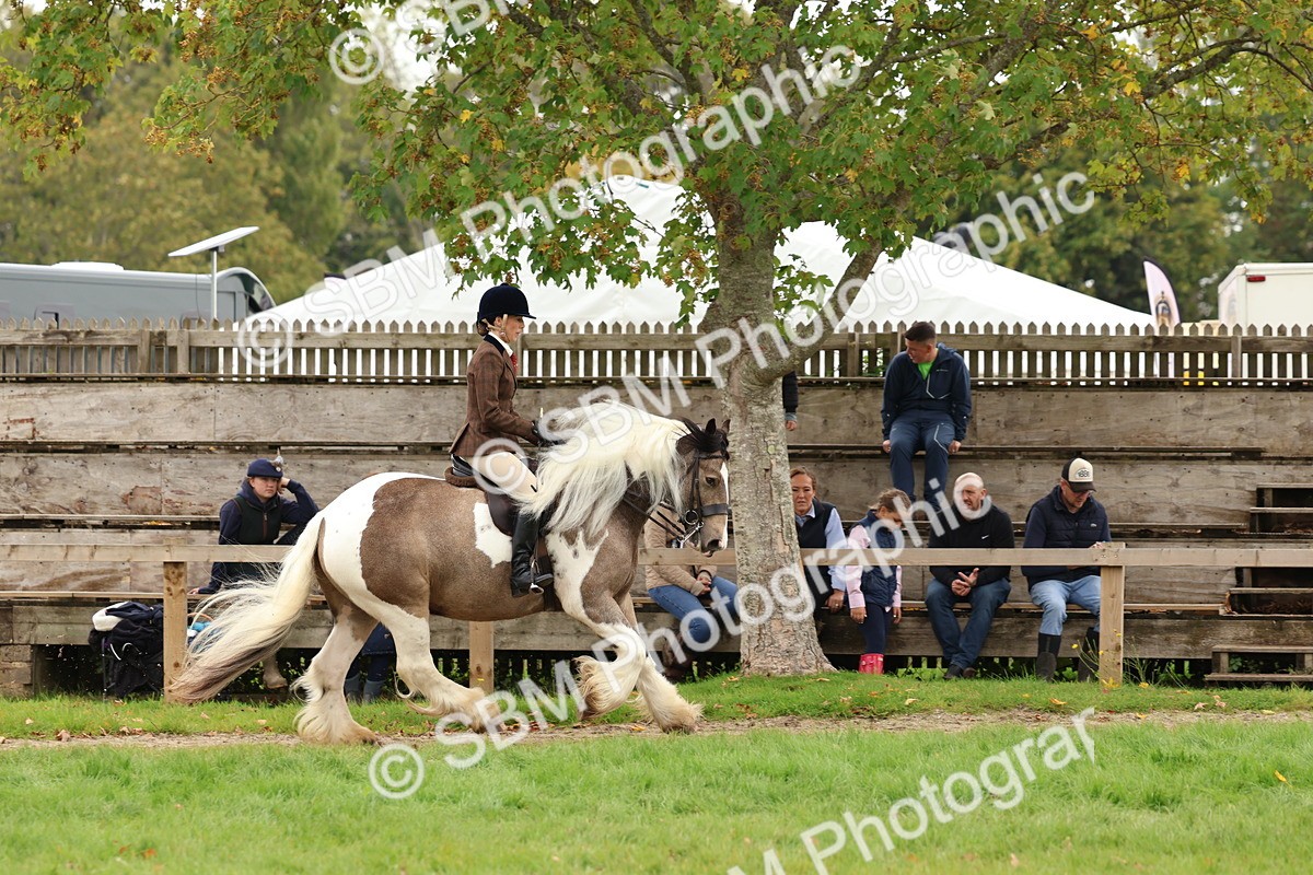 SBM_64493 - S58 - Coloured Pony Ridden