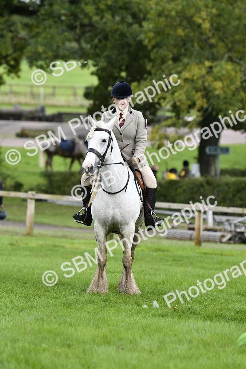 SBM_41547 - S32 - Mountain & Moorland Working Hunter Pony