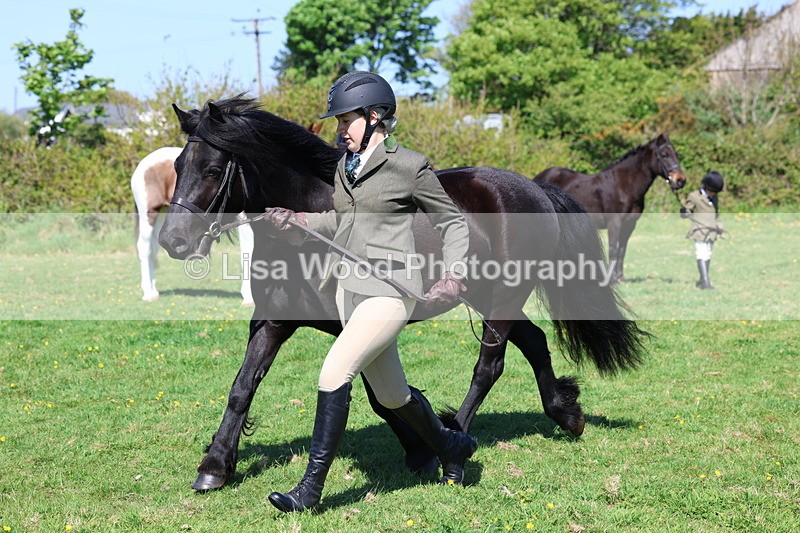 3E7A9884 - Class 17: Young Handler