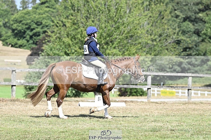 250821A-111959-15266 - DR 11.00 to 12.00