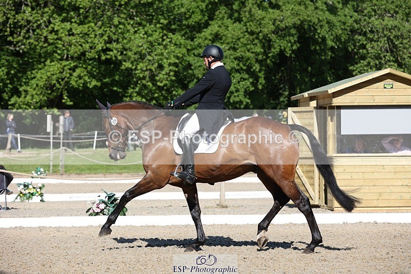 230526-092129-05050 - 354-TREWORDER-Michael_Owen-WEDTrotUp+DR