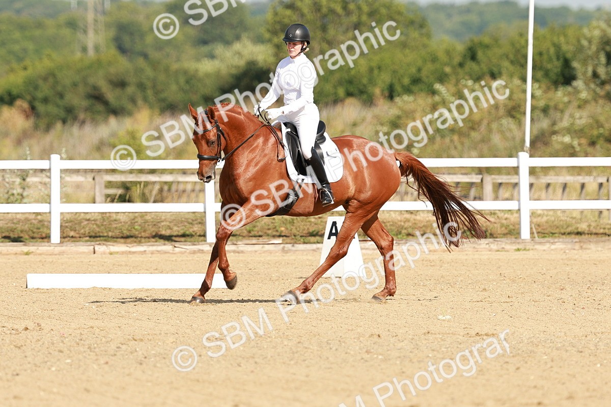 SBM_021076 - Class 12 - P6