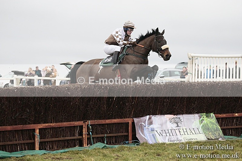 PtP 180218 370 - Combined Services Point-to-Point Larkhill 18/02/18