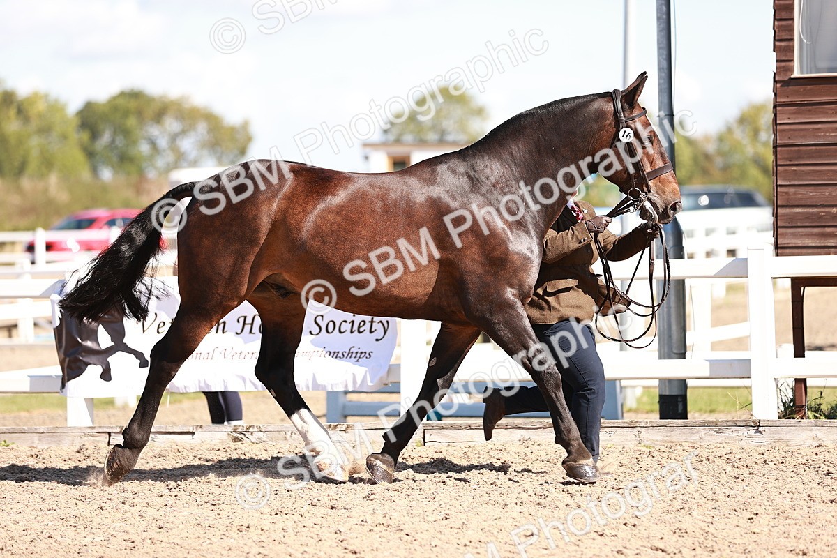 SBM_13235 - Class 405 - IH Show Cob