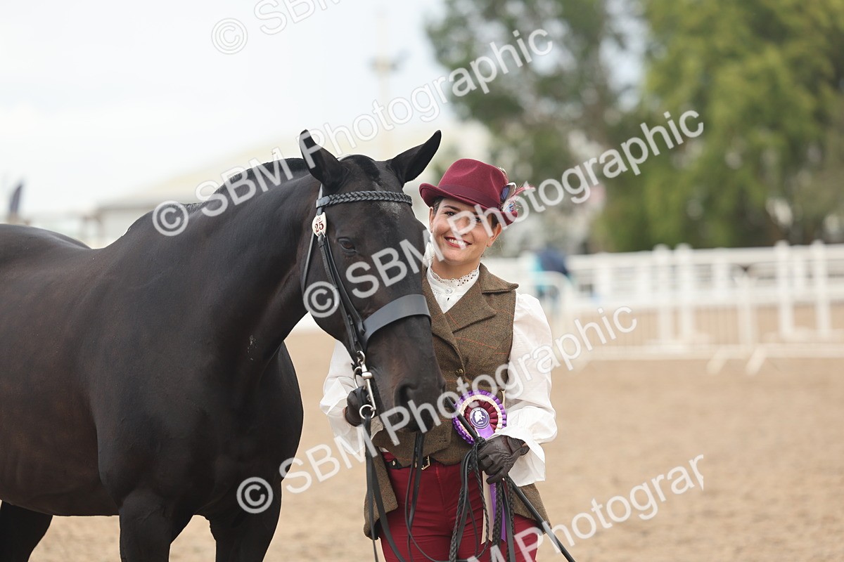 SBM_07955 - Class 28 - IH Veteran Horse