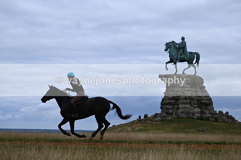 DSC_6508 - Time at Statue 12:17 to 12:44