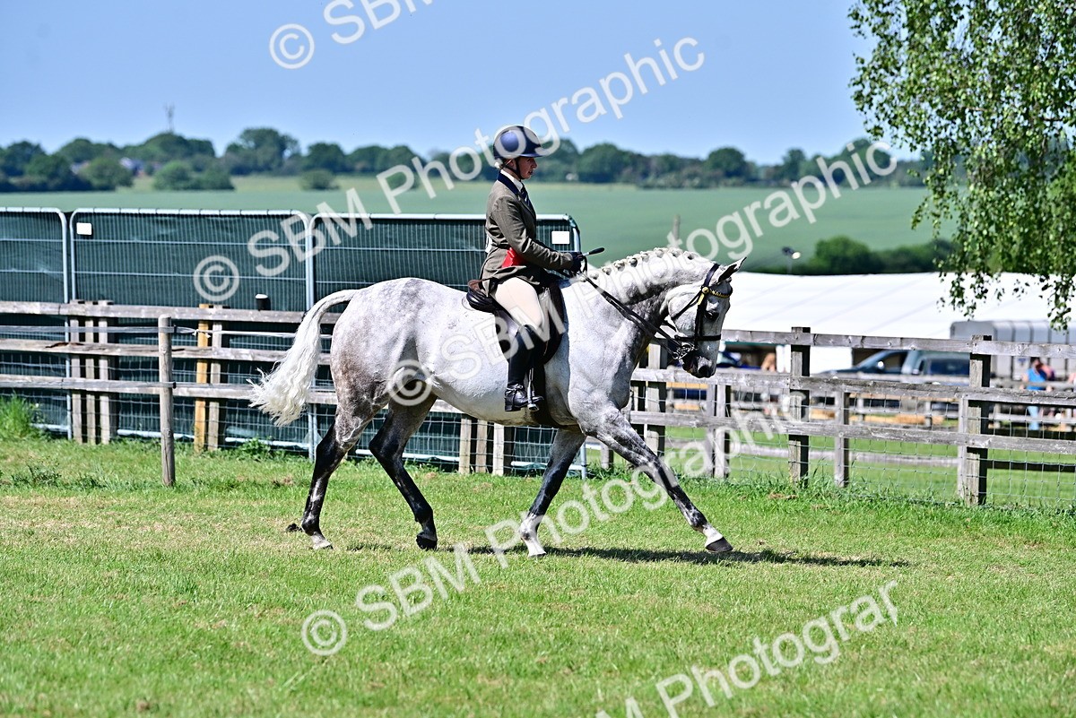 SBM_18263 - Class 99-100 - Retraining of Racehorses Ridden
