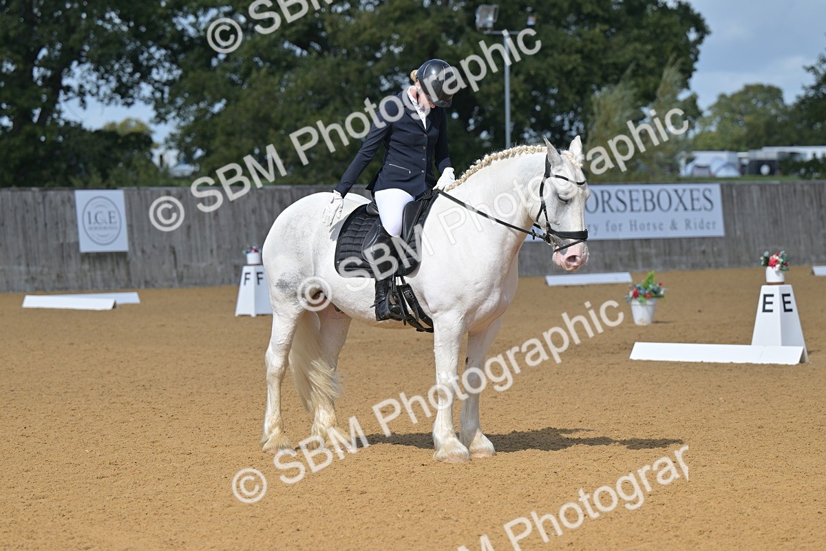 SBM_08017 - D8 - Small Tour Championship Prelim 1