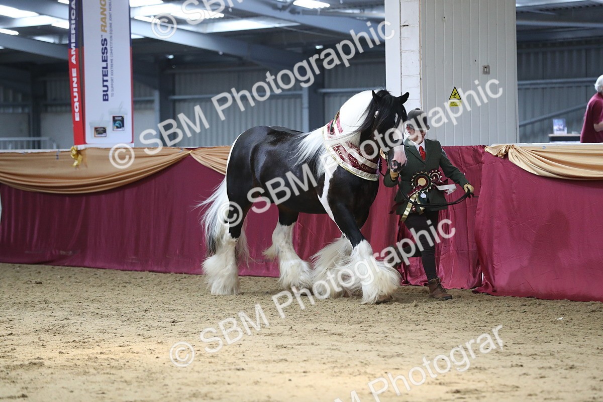 SBM_06605 - Regional IH Champ