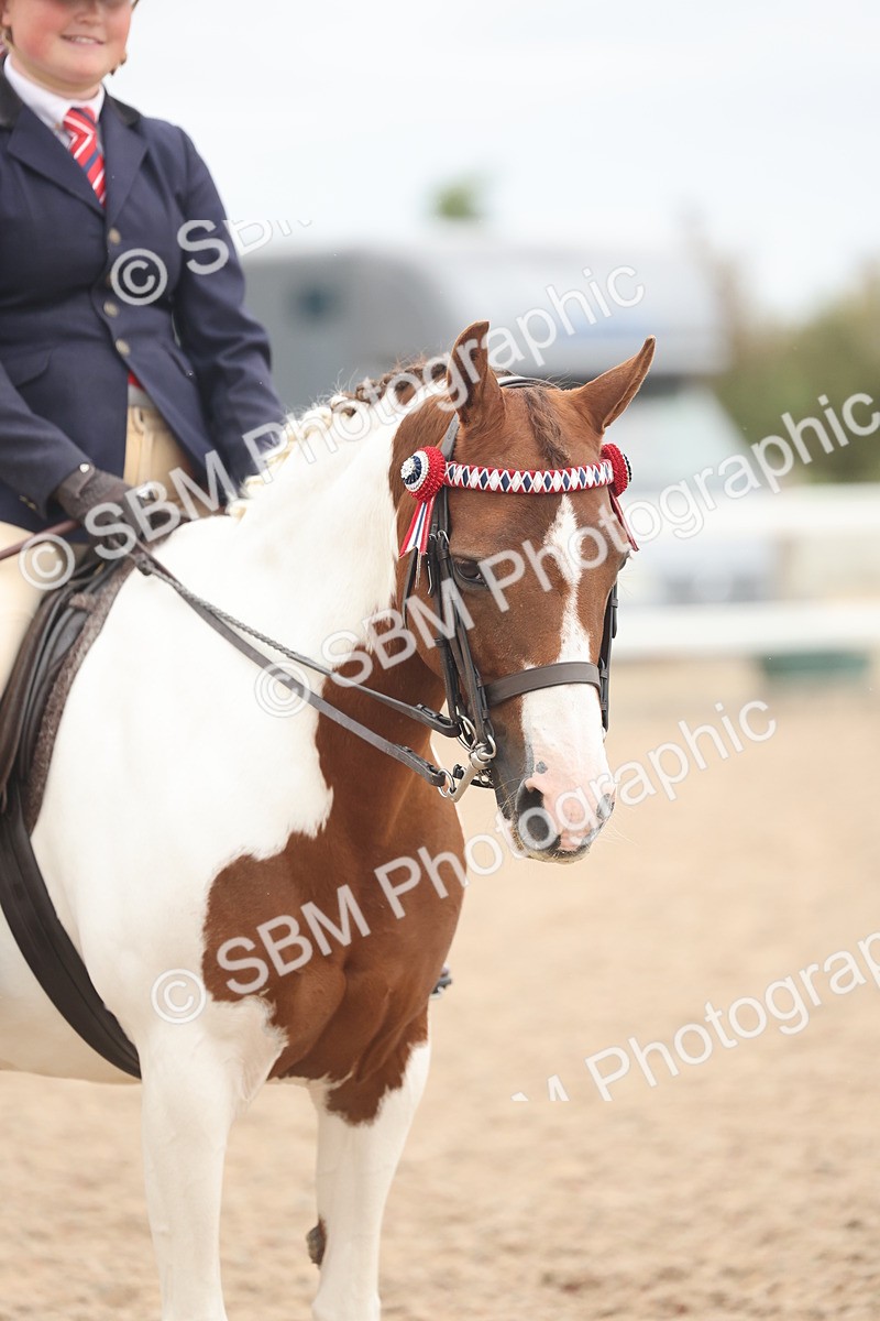 SBM_19177 - Class 316 - Best Pony-Rider Combination