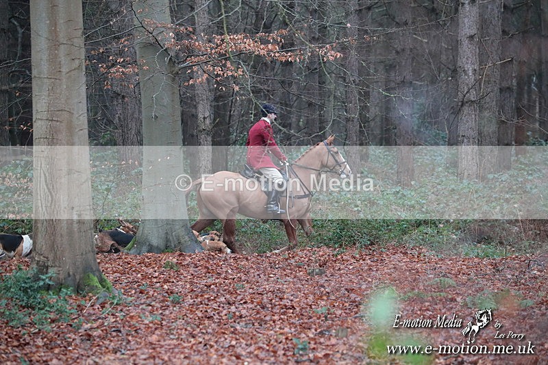HUPY 261224 70 - Pytchley with Woodland Hunt Boxing Day Meet 26th December 2024