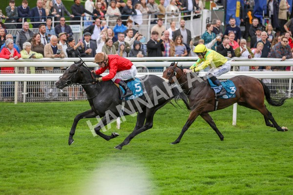 080924-Race 3-Brighton Boy-4415 - Race 3 2.50pm Irish Thoroughbred Marketing Nursery Handicap