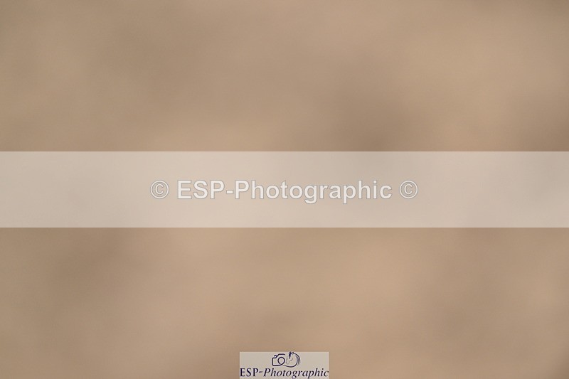 240514A-163554-00078 - 70cm