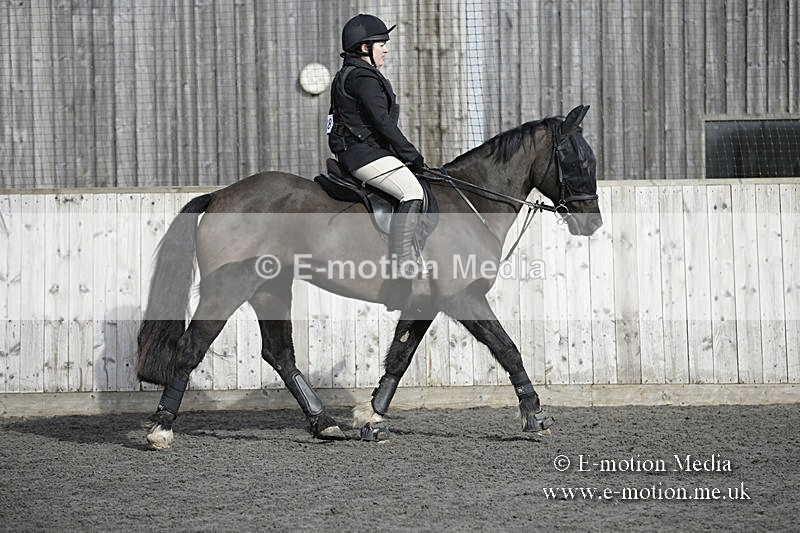 BVRC 050320 0084 - Bourne Valley riding Club Show Jumping Tidworth 08/03/20