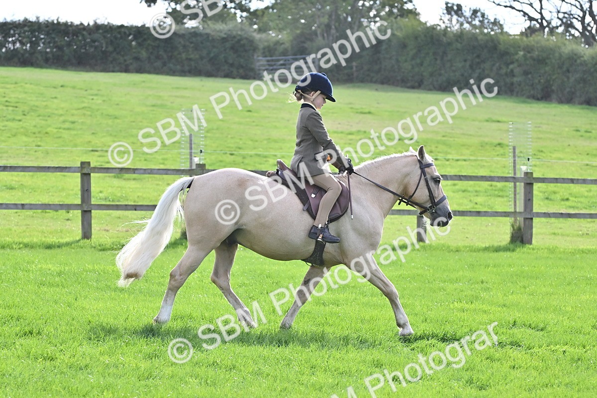 SBM_48454 - S21 - Novice & Newcomers First Ridden