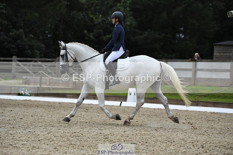230812-125134-04231 - Cls 6 Novice Silver 12.10 to End