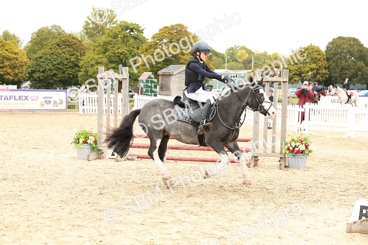 SBM_61903 - J12 - Junior Pony 55cm Championship