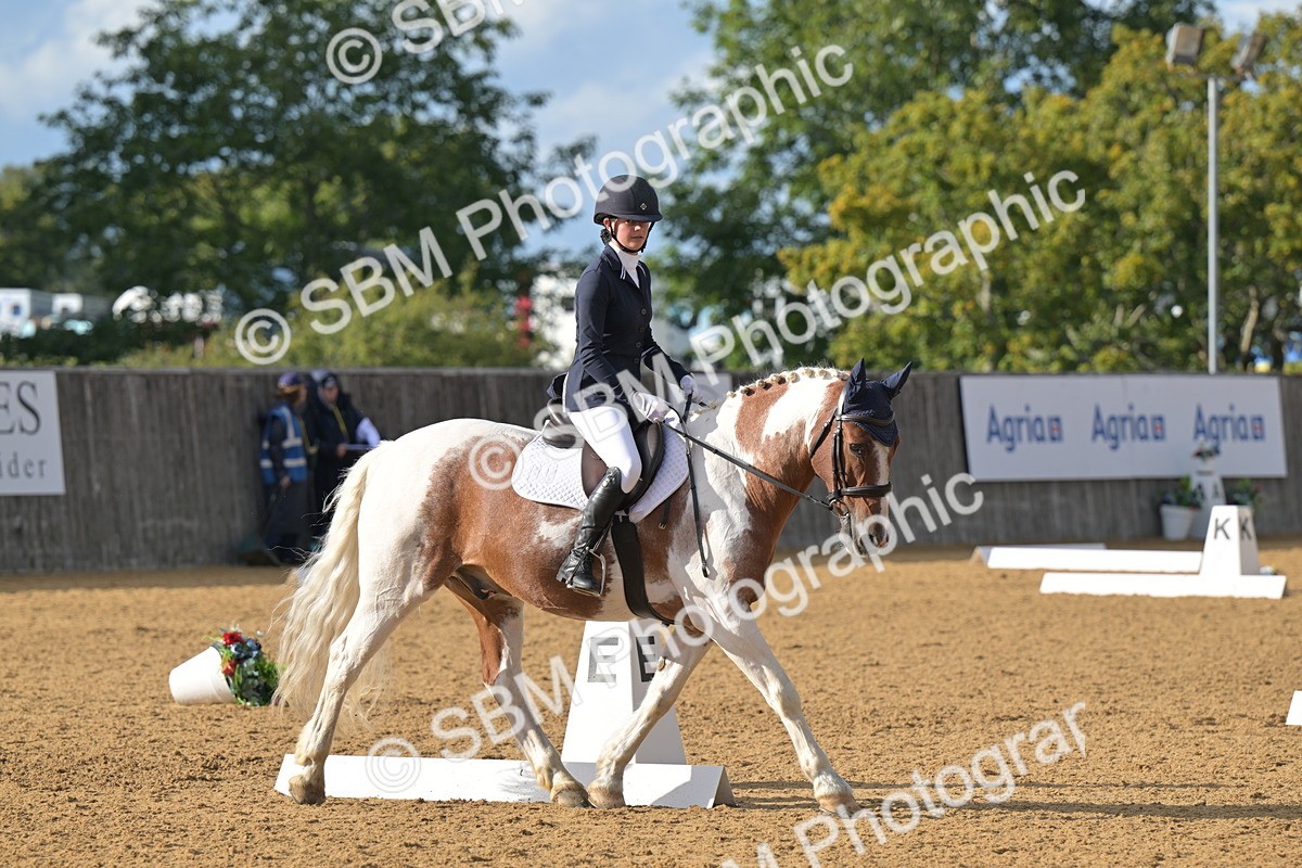 SBM_12940 - D3 - Small Tour Championship Intro 3