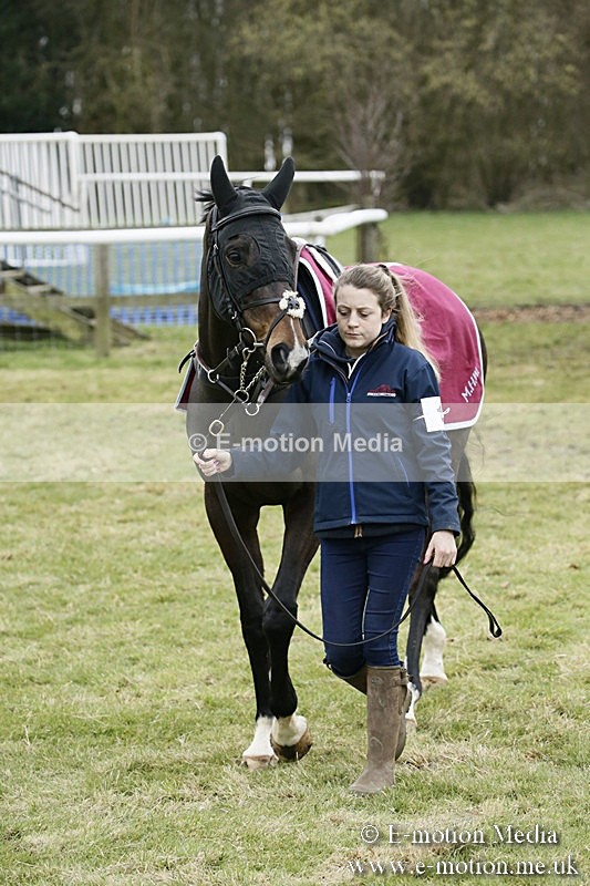 PtP 110318 92 - Hampshire Hunt Point-to-Point Hackwood Park 11/03/18