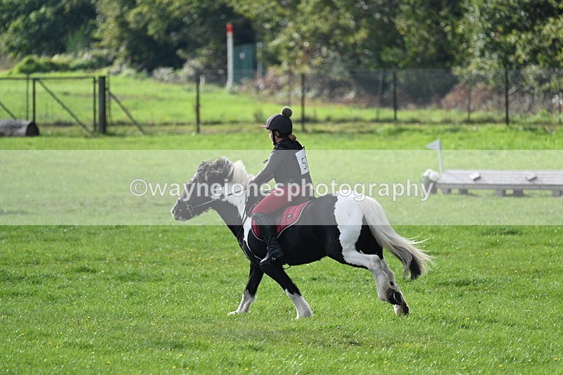 WJ7_3762 - 40cm Time 10:26 to 10:42