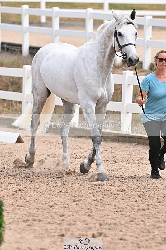 250716-142226-01047 - Trot Up 1.30 to 2.30