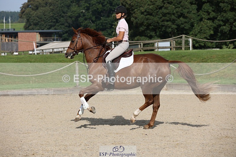 230908-101818-00381 - Cls 6 Snr British Novice & 90cm Open