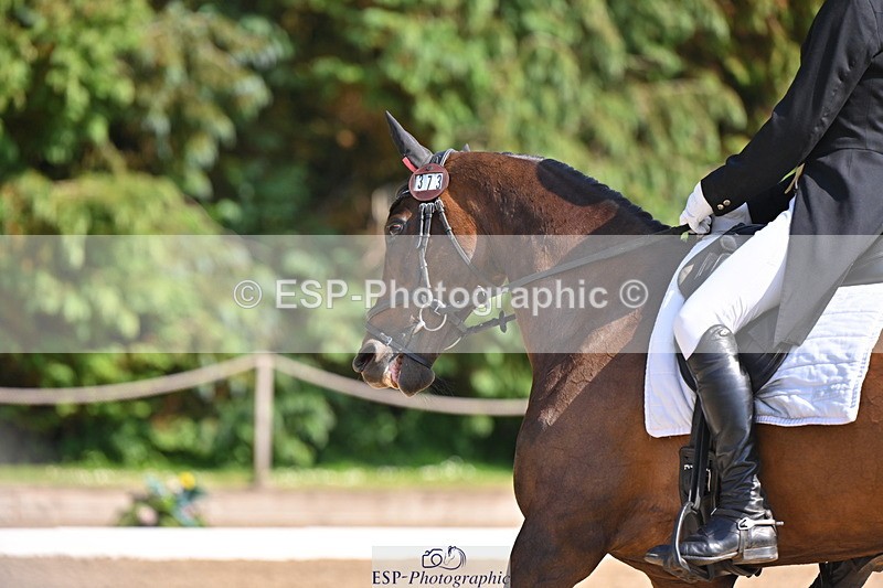 250523A-155952-07937 - B-373-Ben.Lee.Liles-FINCH.FANCY