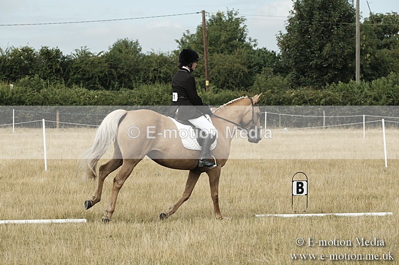 _PJP5735 - Dressage Classes BVRC Show 2018