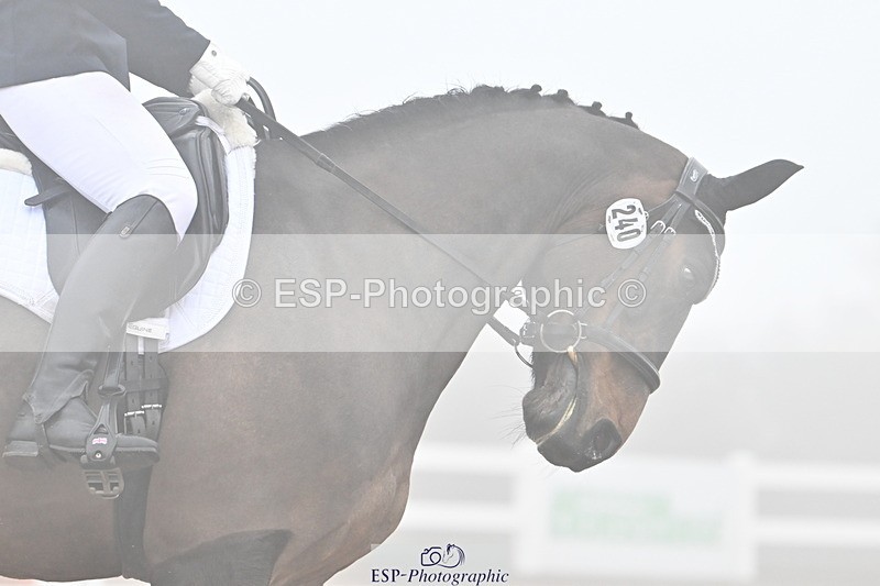 240217A-135418-03315 - 240-Moira.Bonner-Green.lanes.Elidor