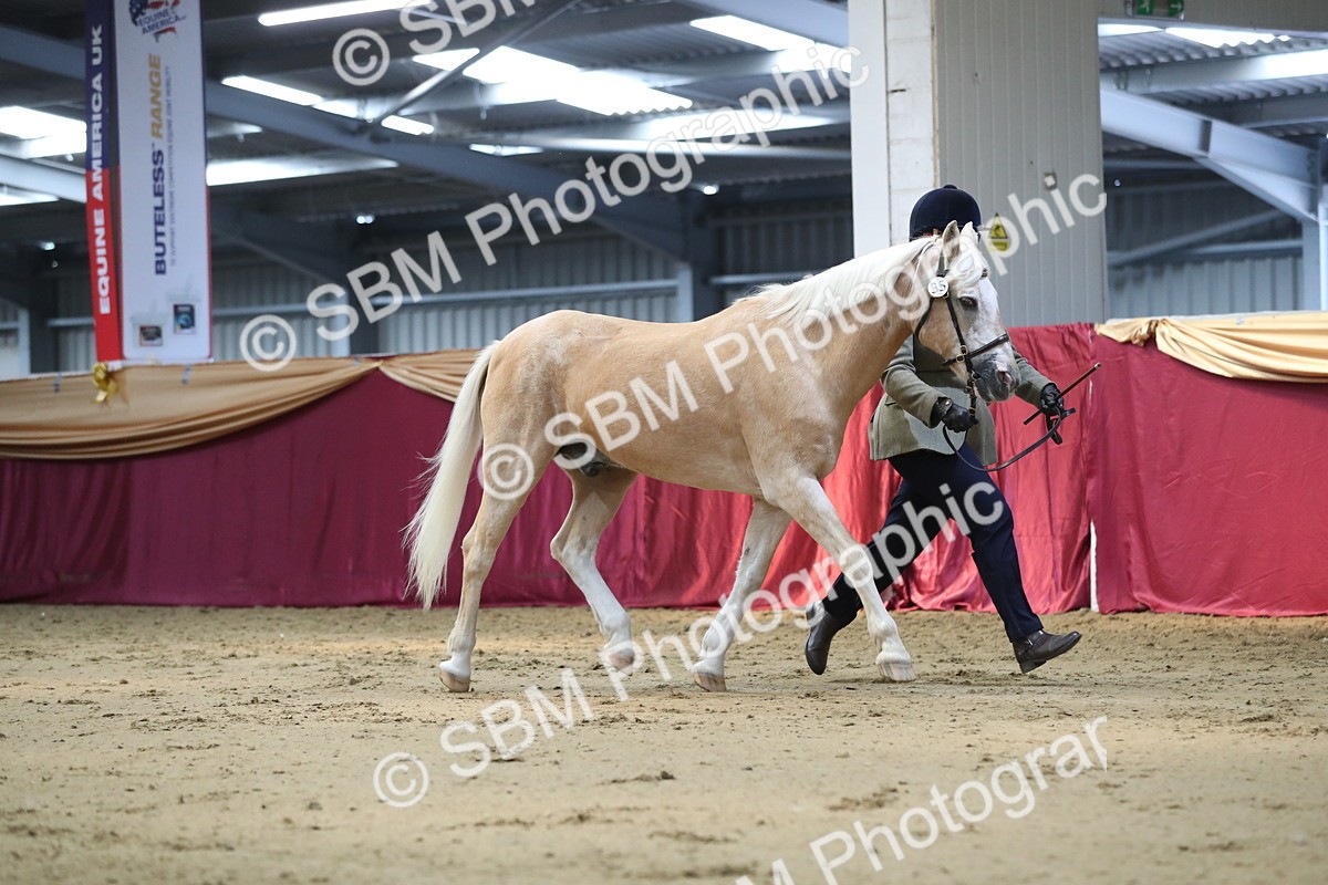 SBM_04390 - Class 7R Regional - IH Diamond