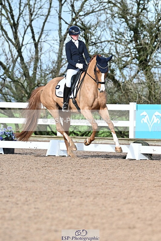 240218A-114426-06829 - 272-Beth.Bainbridge-Newton.Dreamcatcher