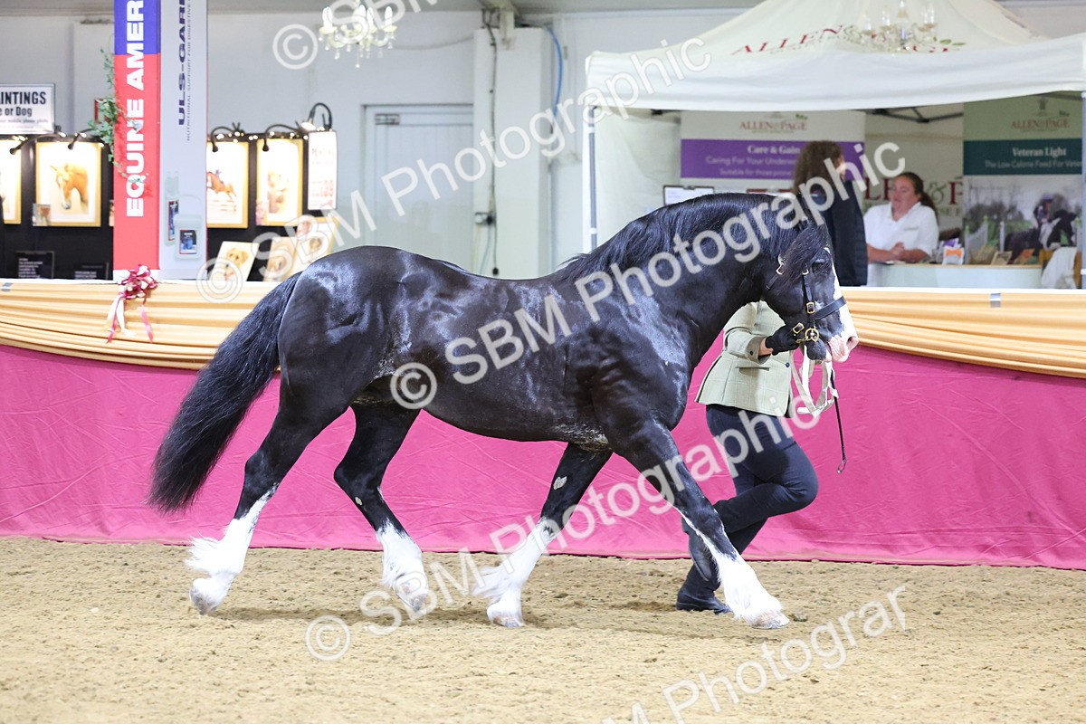 SBM_20984 - Class 902 - Supreme Final IH Veteran