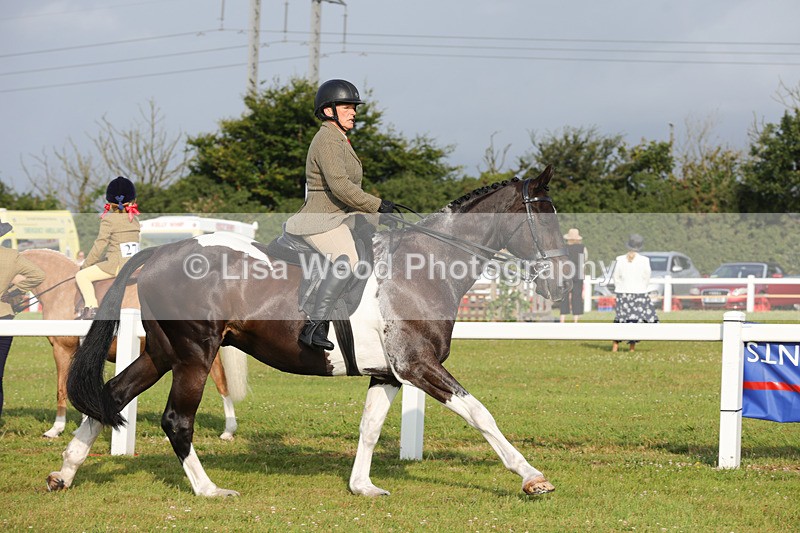1X9A2878 - Class 25: Ridden Plaited Coloured Horse