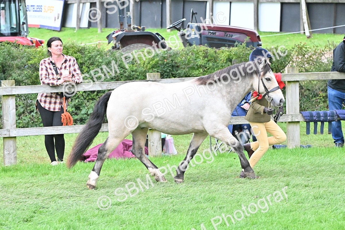 SBM_68534 - S42 - Junior Handler 9-12 Years