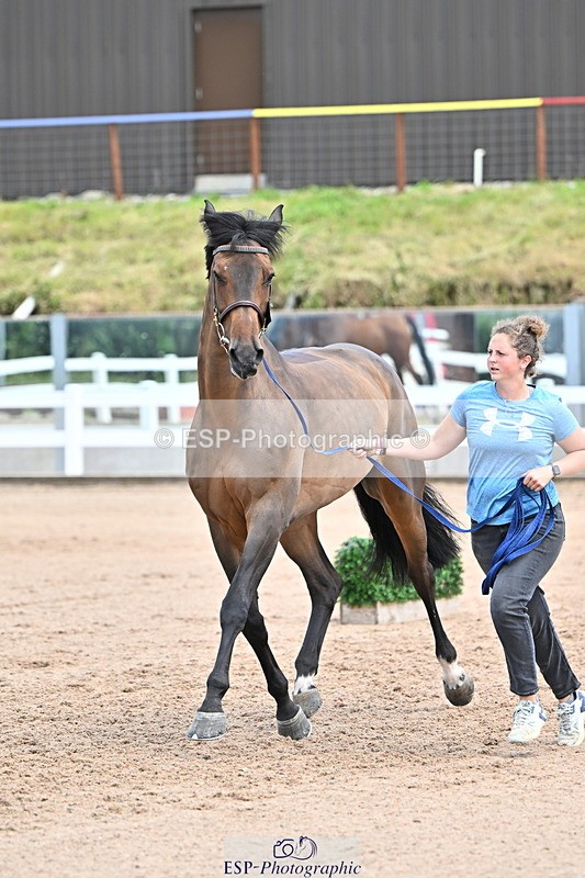 240718A-105321-01876 - Trot Up 1pm to 2pm