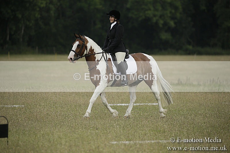 B230619-0213 - Bourne Valley Riding Club Summer Show 23/06/19