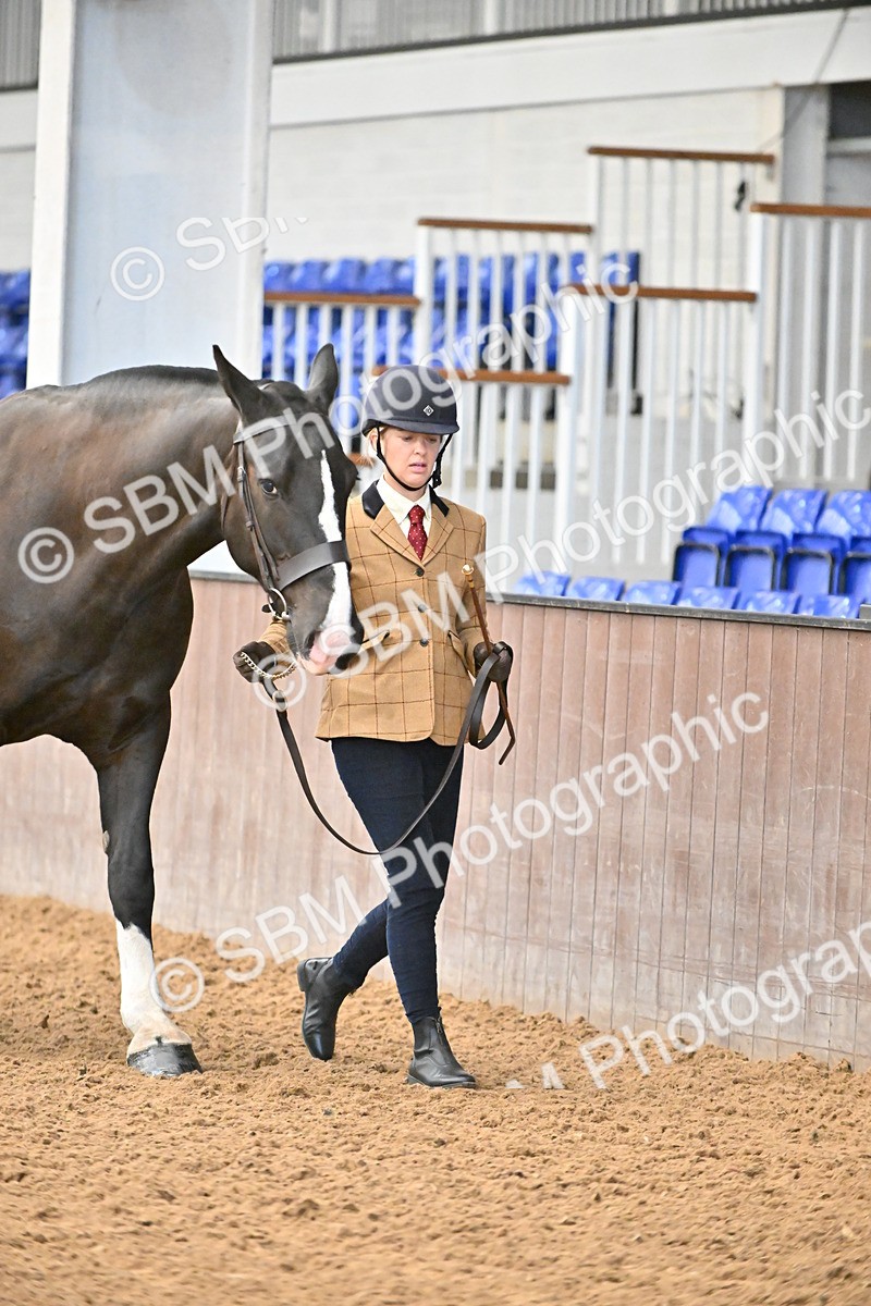 SBM_000072 - Class 4 - BSHA In Hand Show Cob