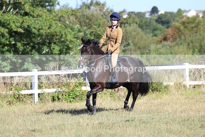 3E7A5488 - Class 3: Working Hunter 70cm
