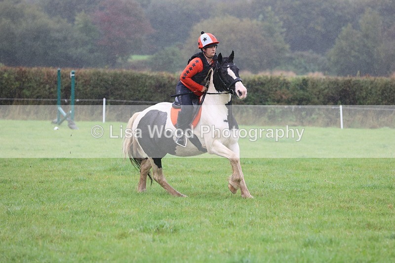 JPP_5134 - Class 1: 65cm : Showjumping