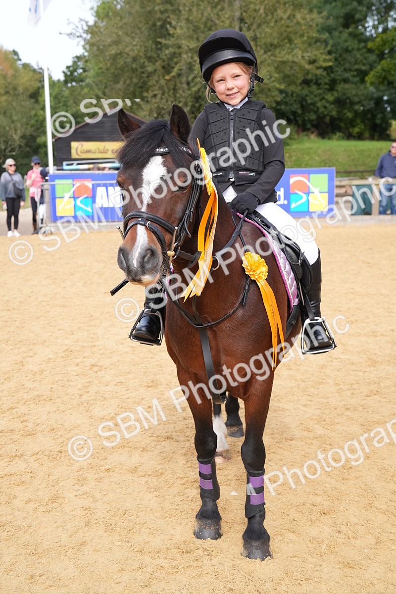 SBM_70503 - J3 - Mini Tour Junior Pony 40cm Championship