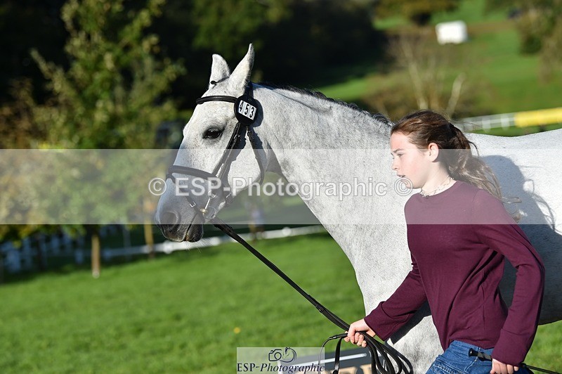 231022-100700-22247 - 453-SOURIS.DE.NESS-Darcy.Smith-TrotUp+SJ