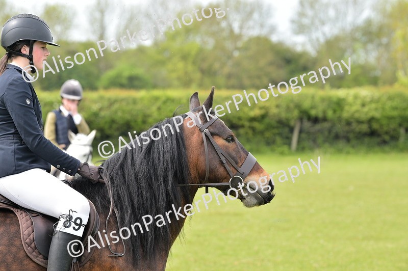 20260426-2434 - Class 21 - Working Hunter Ponies